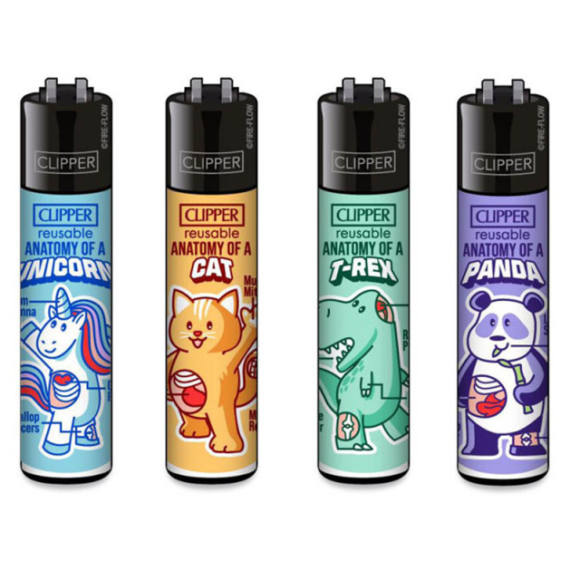 Clipper Anatomy Of Set